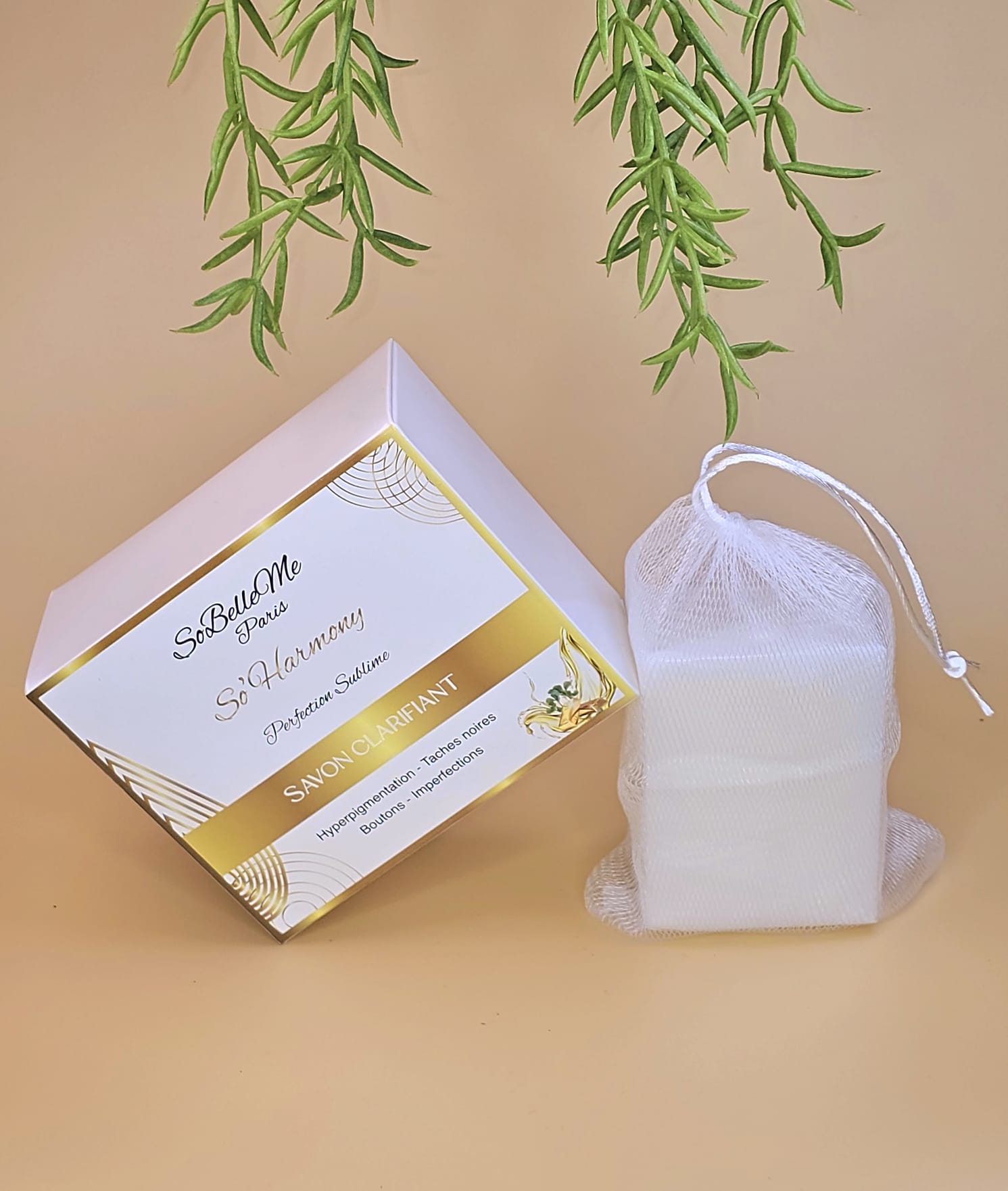 Savon clarifiant "Perfection Sublime"